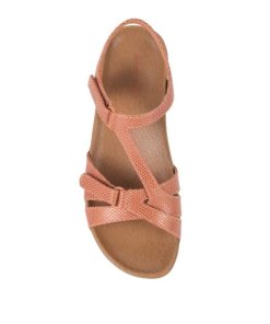Kickspost.shope0da54e181 4